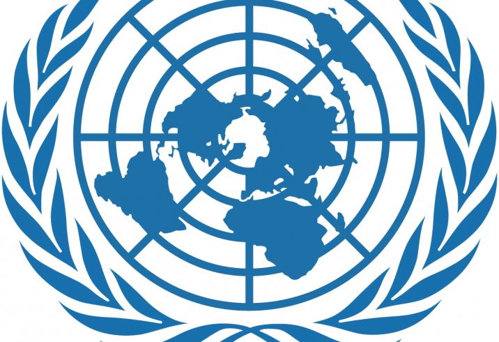 Pacific nations call on UN to investigate human rights situation in West Papua Pacific nations call on UN to investigate human rights situation in West Papua