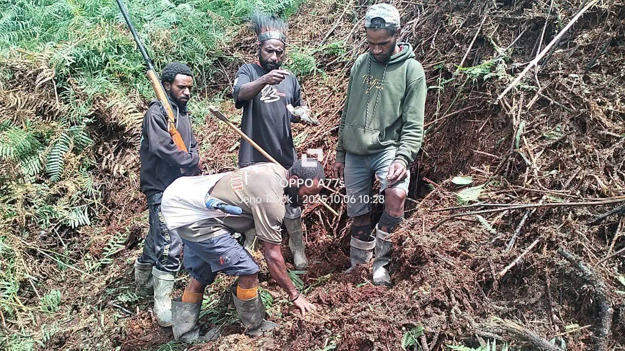 標本 West papua Calodema suhandae 44mm President Wenda: Indonesia bombards Star Mountains as situation